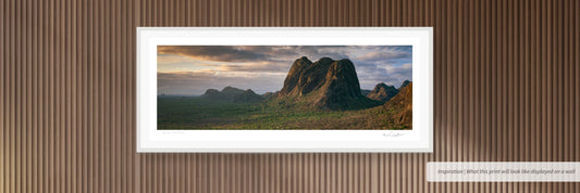 Ngorongé | Garden of Giants