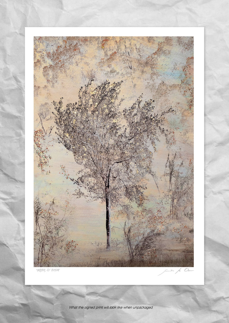 Whispers of Nature No.1