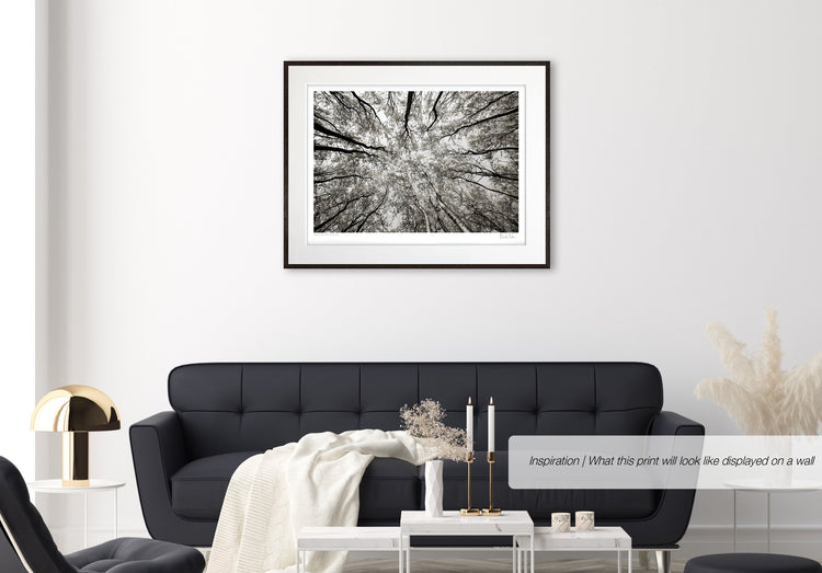 Austere Pattern No.1