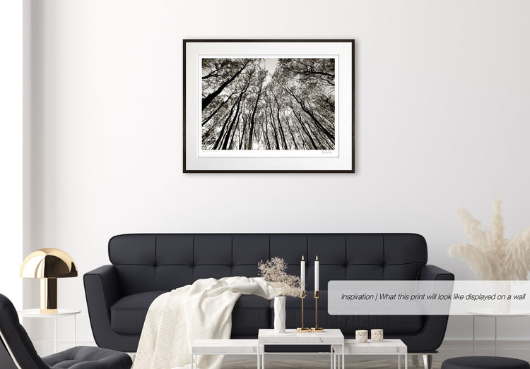 Austere Pattern No.3