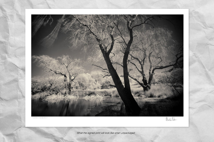 Ethereal Reverie No.1