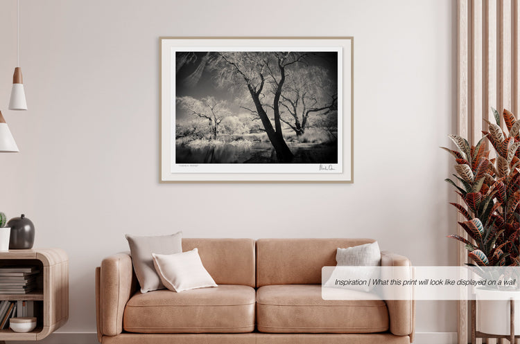 Ethereal Reverie No.1