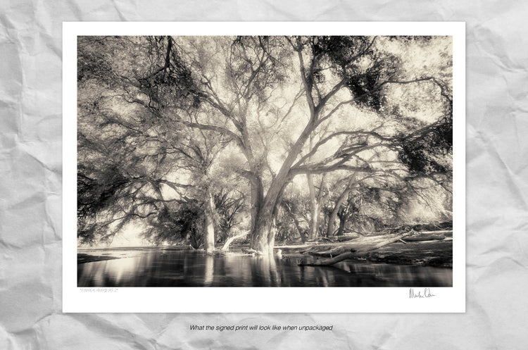 Ethereal Reverie No.2