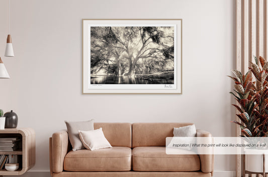 Ethereal Reverie No.2