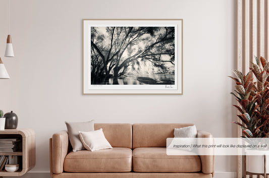 Ethereal Reverie No.3