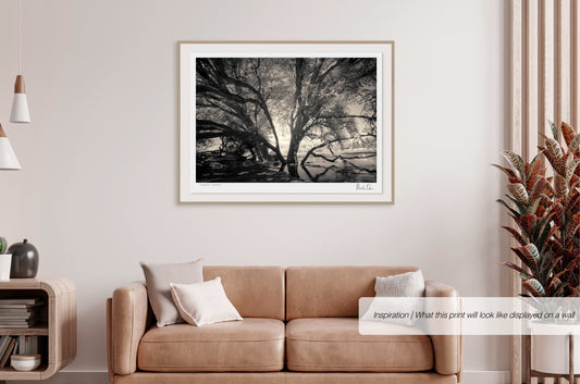 Ethereal Reverie No.4