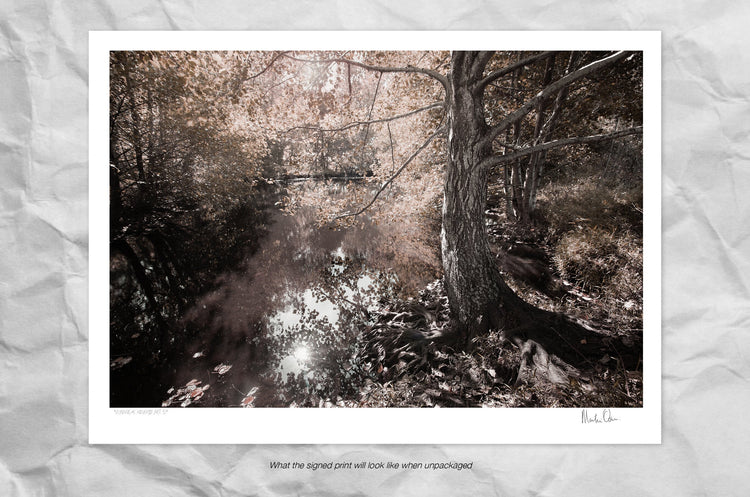 Ethereal Reverie No.5