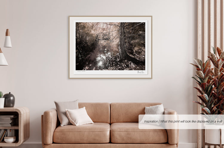 Ethereal Reverie No.5