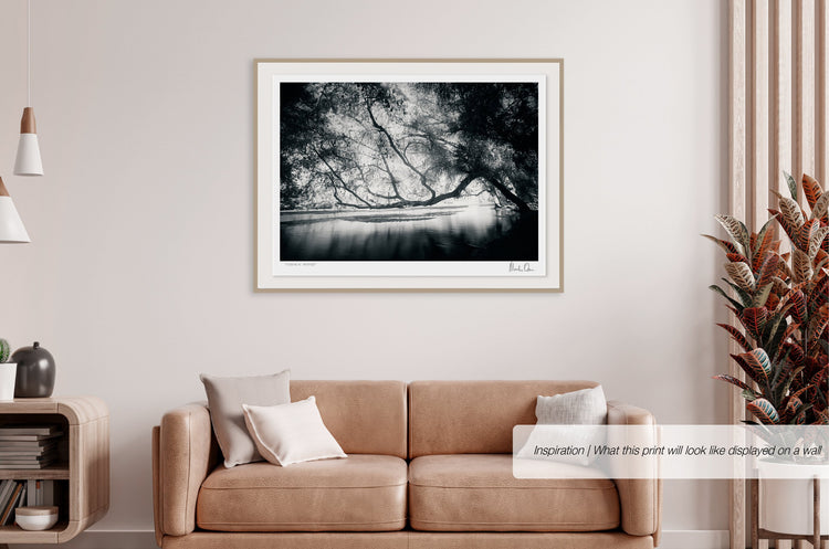 Ethereal Reverie No.6