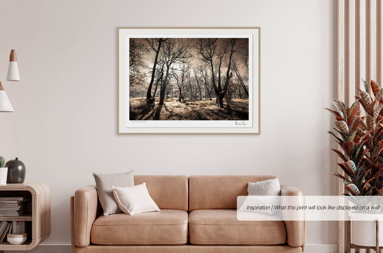 Ethereal Reverie No.7