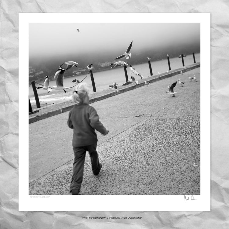 On the move - Chasing gulls