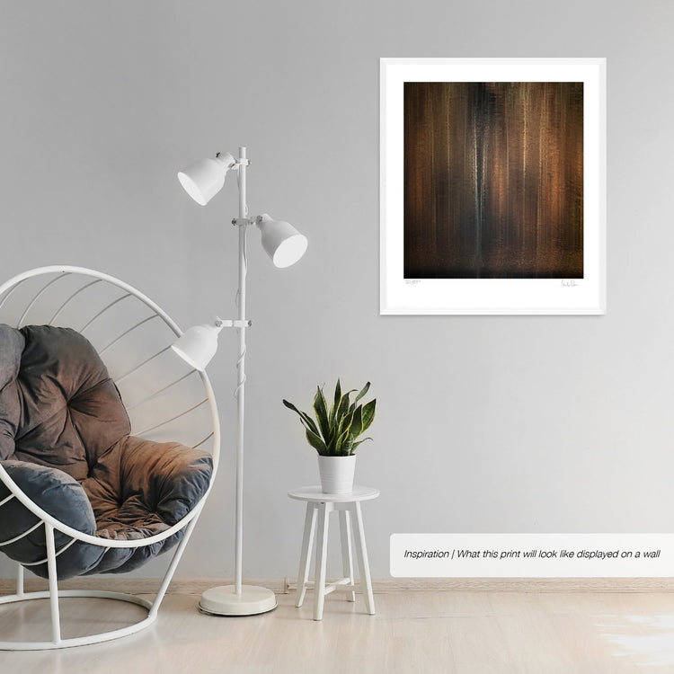 Illusions of a forest