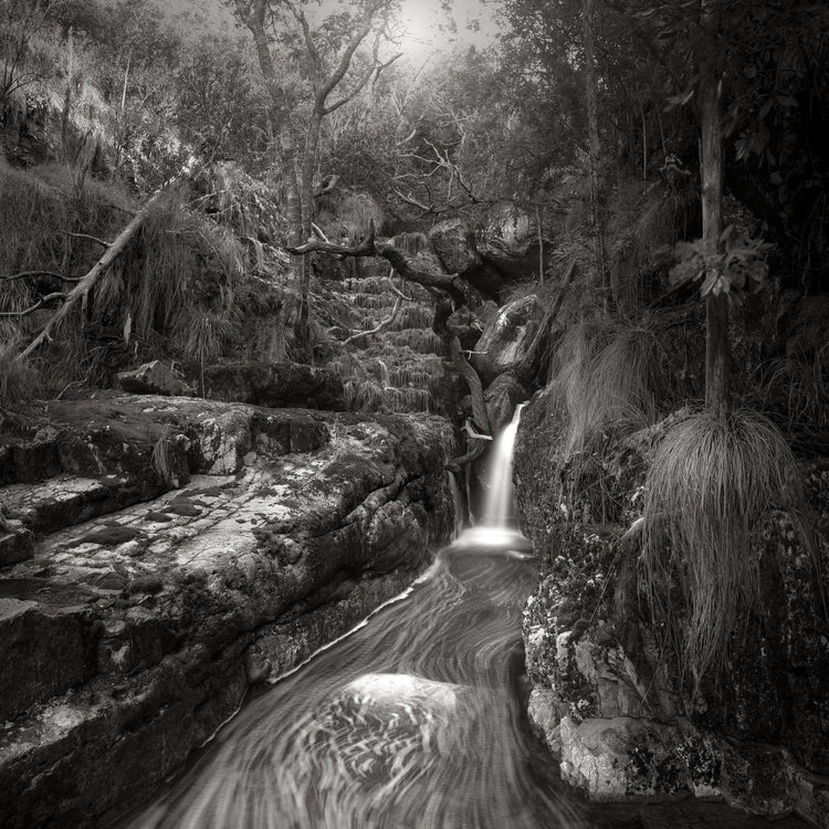 Classic Black & White - Orange Kloof