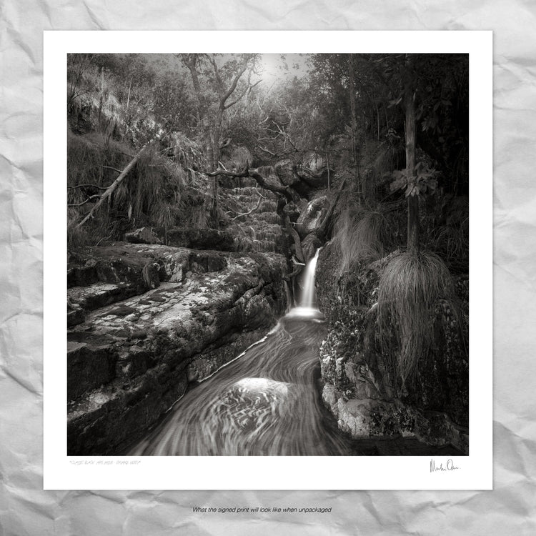 Classic Black & White - Orange Kloof