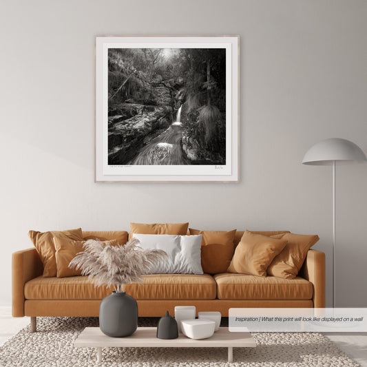 Classic Black & White - Orange Kloof