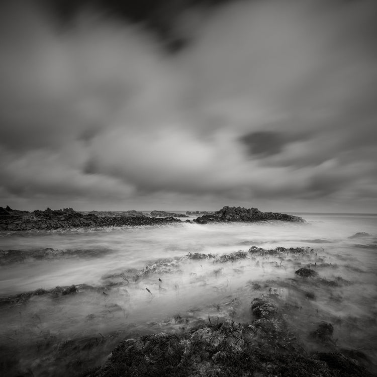 Classic Black & White - Moonlight Bay