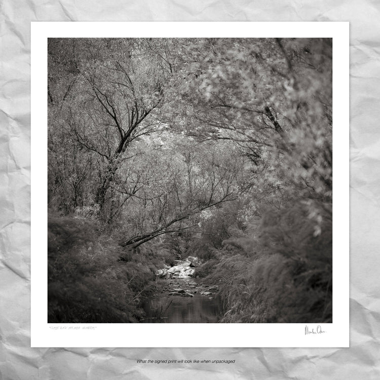 Classic Black & White - Keurbooms