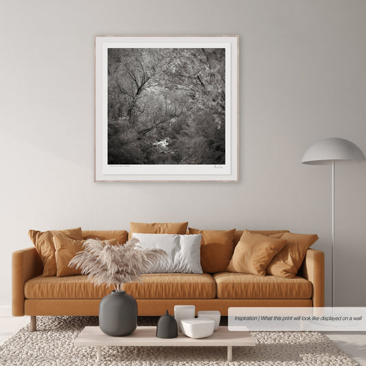 Classic Black & White - Keurbooms