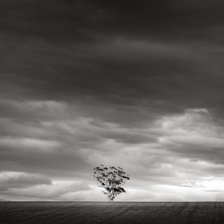 Classic Black & White - Secluded Hill