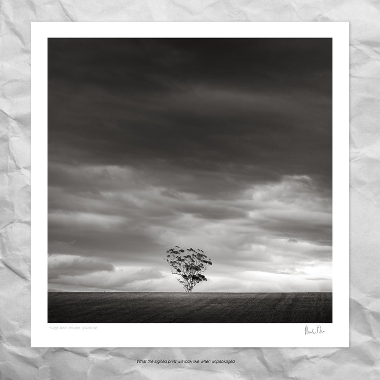 Classic Black & White - Secluded Hill