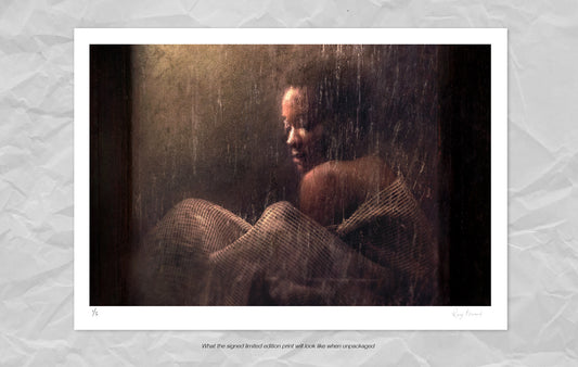 Behind the Veil | Demure Collection