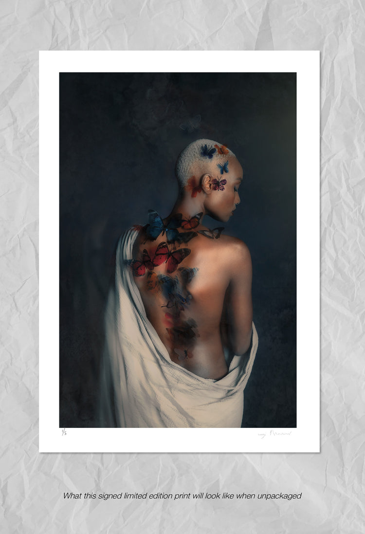 Metamorphosis | Demure Collection