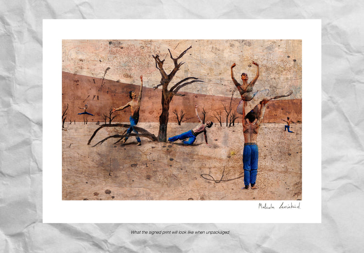 Sossusvlei Ballet - Le Corsaire pas de deux