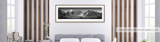 Table Mountain Vista in Black and White