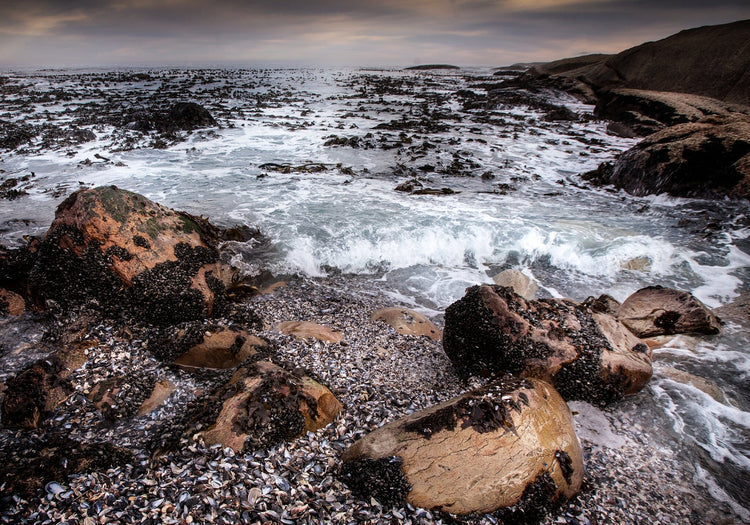 Seascape on Eden No.3