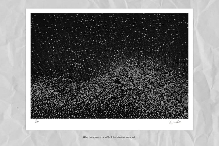 Patterns of Africa | Flamingos Rising