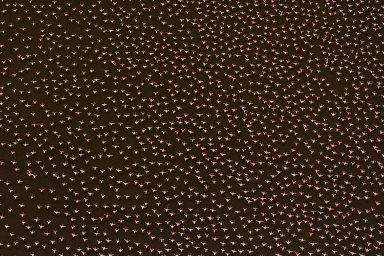 Patterns of Africa | Flamingo Impressions