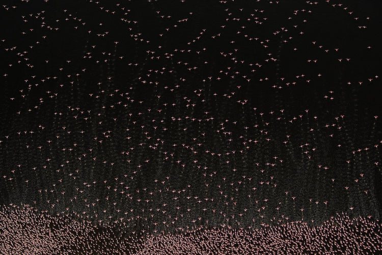 Patterns of Africa | Pink Impressions