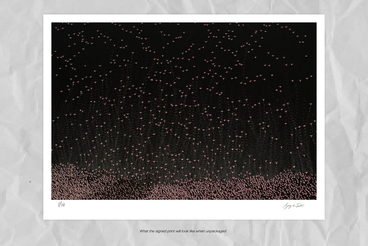 Patterns of Africa | Pink Impressions