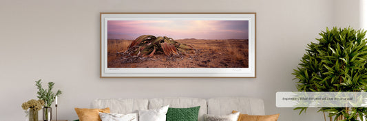 Ancient Survivor No.3