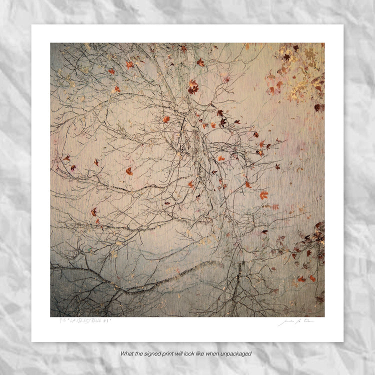 La Vie est Belle No.1