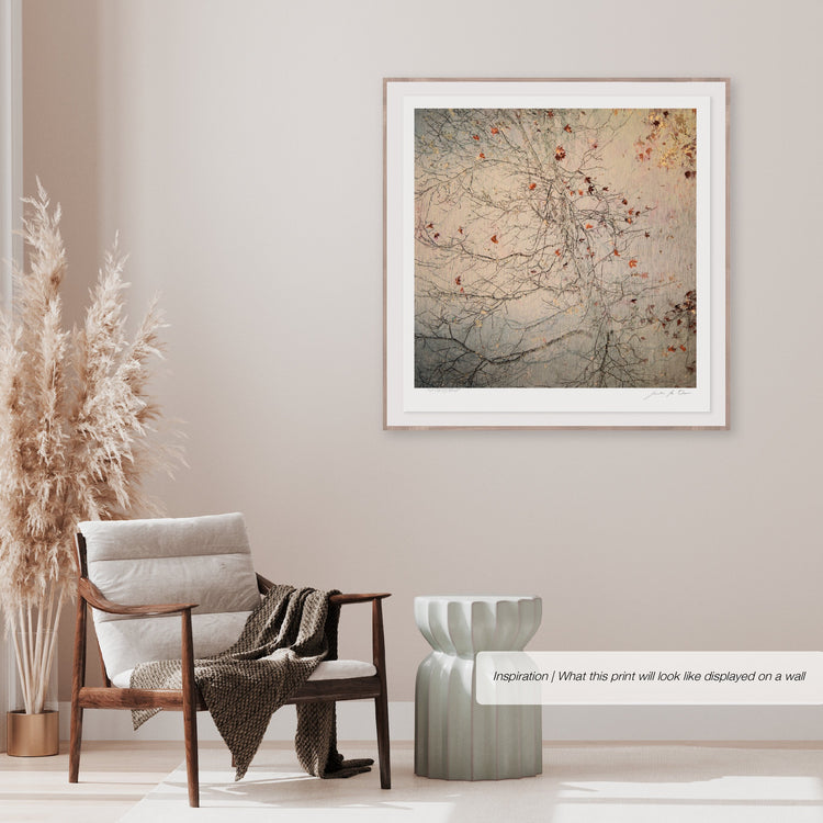 La Vie est Belle No.1