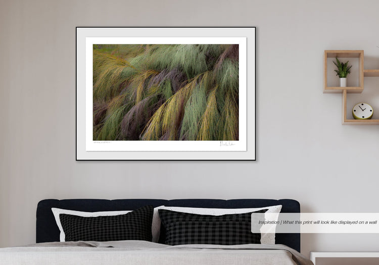 Patterns of Nature No.2