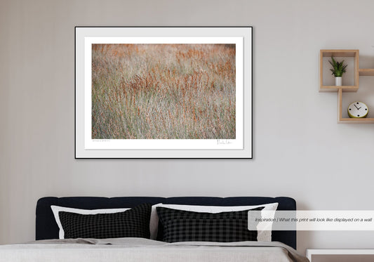 Patterns of Nature No.4