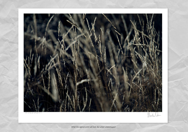 Patterns of Nature No.1