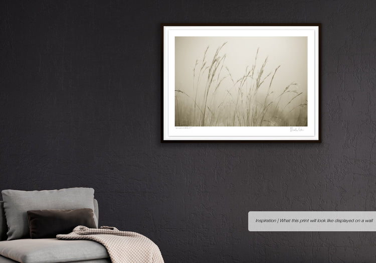 Patterns of Nature No.5