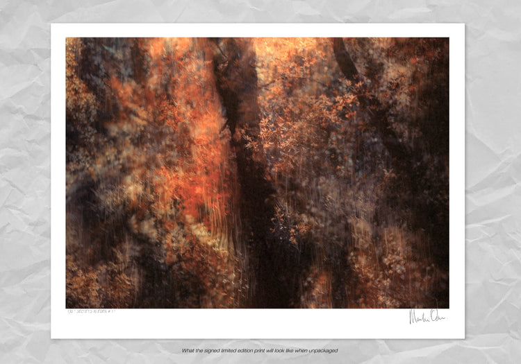 Secrets in Eden No.1