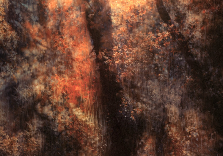 Secrets in Eden No.1