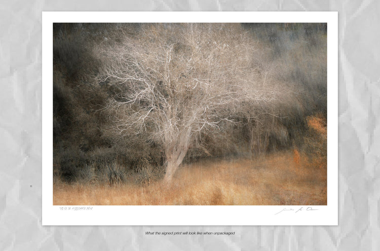 Pièce de Rèsistance No.6