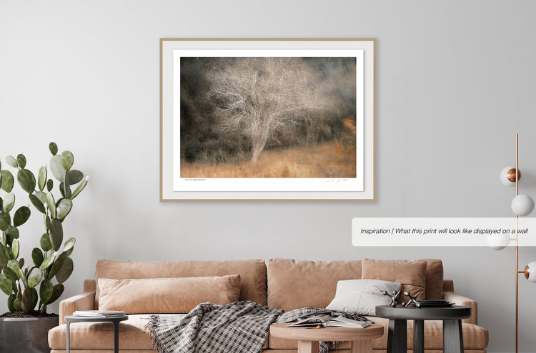 Pièce de Rèsistance No.6