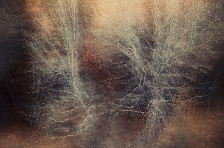 Pièce de Rèsistance No.5