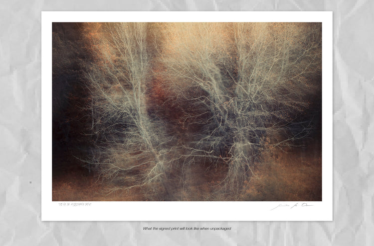 Pièce de Rèsistance No.5