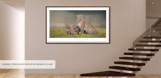 Dignity No.2 | Pride of Africa