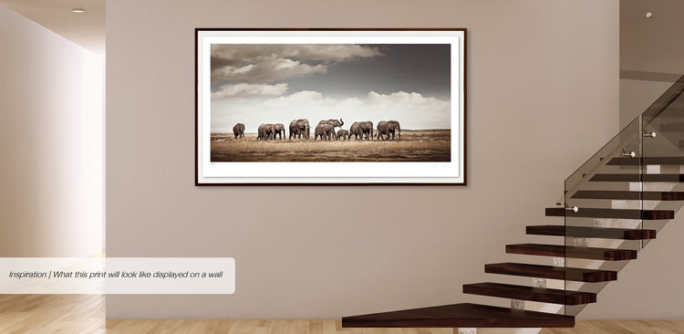 The Crossing No.1 | Pride of Africa