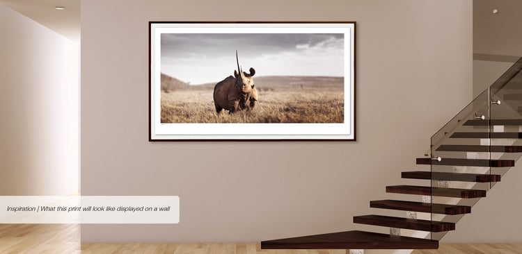 Monarch of Lewa No.1 | Pride of Africa