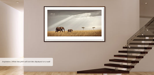 Unison No.2 | Pride of Africa